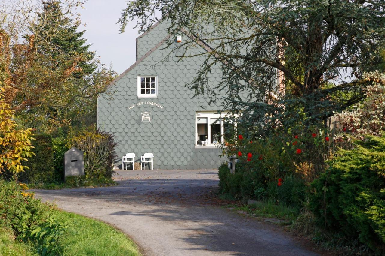 Hof Van Loverrijk Bed and Breakfast Lier Zewnętrze zdjęcie