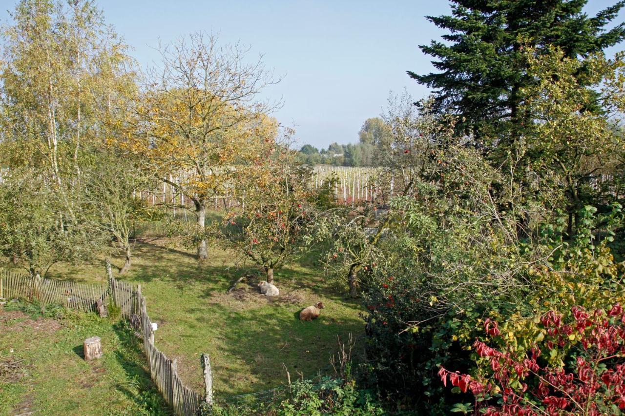 Hof Van Loverrijk Bed and Breakfast Lier Zewnętrze zdjęcie